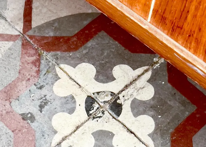 Charmante Maison De Pecheur * Trouville-sur-Mer